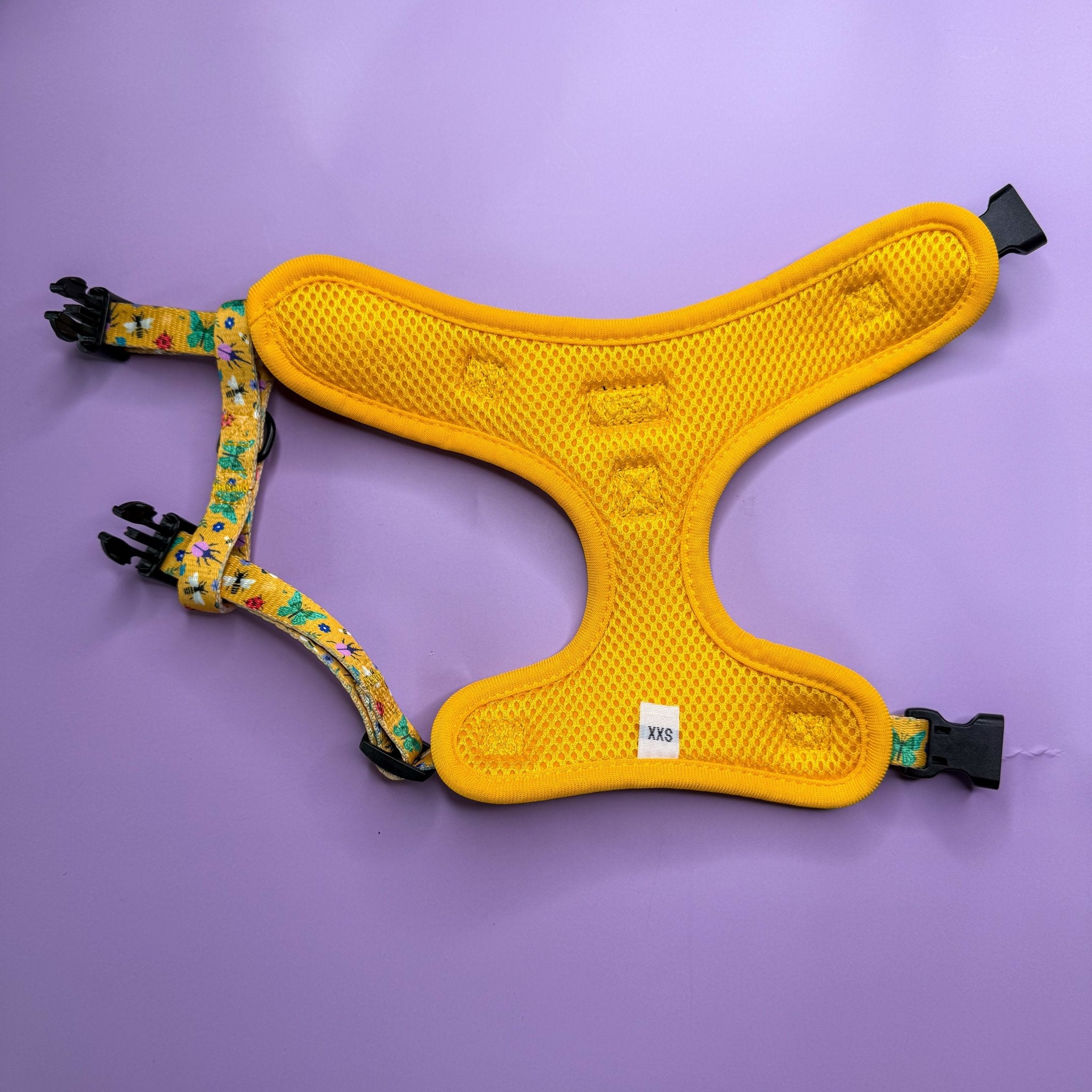 Summer Buzzin’ Step - In Adjustable Dog Harness - Pup Chic Boutique