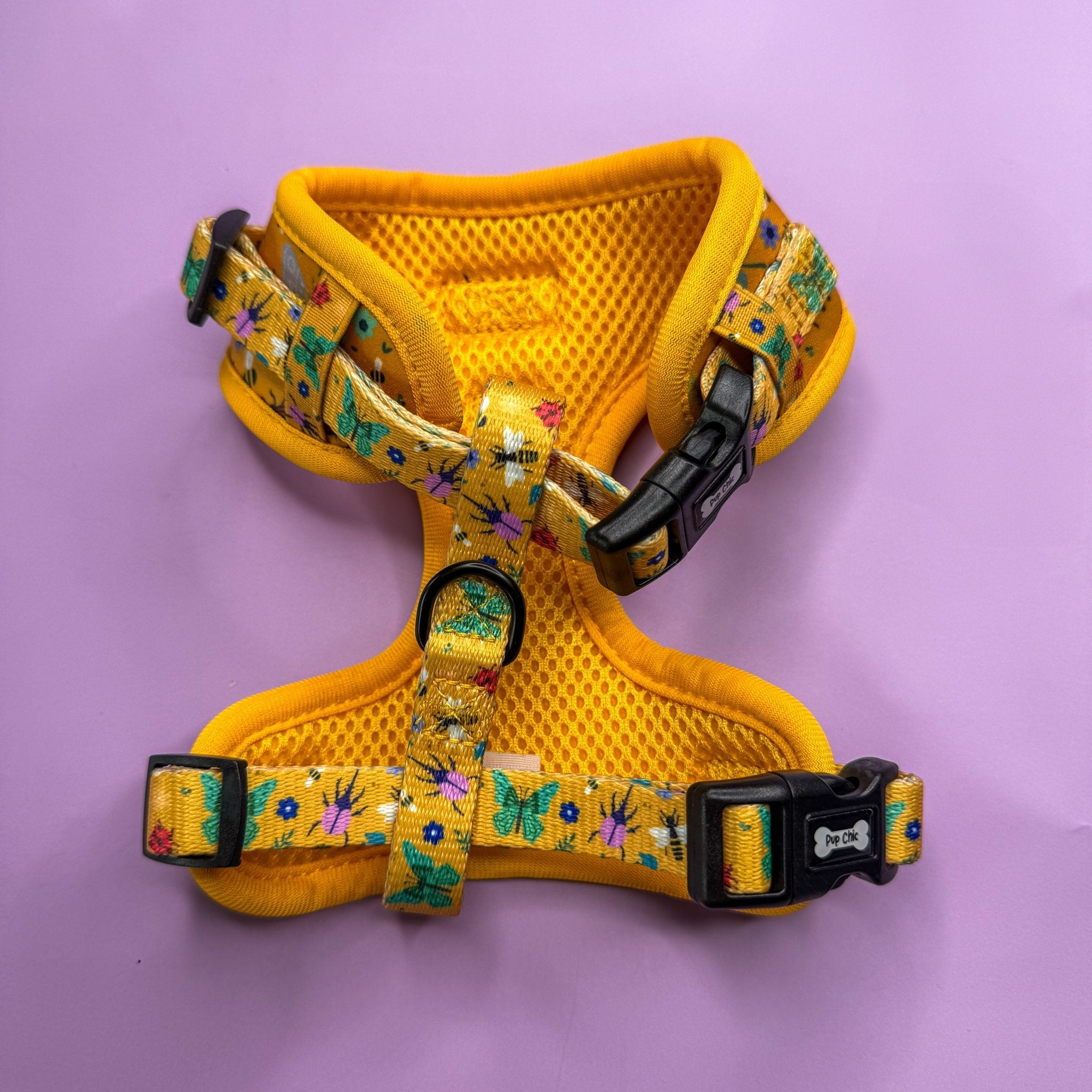 Summer Buzzin’ Step - In Adjustable Dog Harness - Pup Chic Boutique