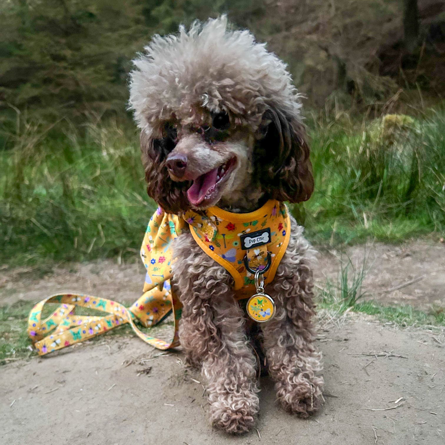 Summer Buzzin’ Step - In Adjustable Dog Harness - Pup Chic Boutique