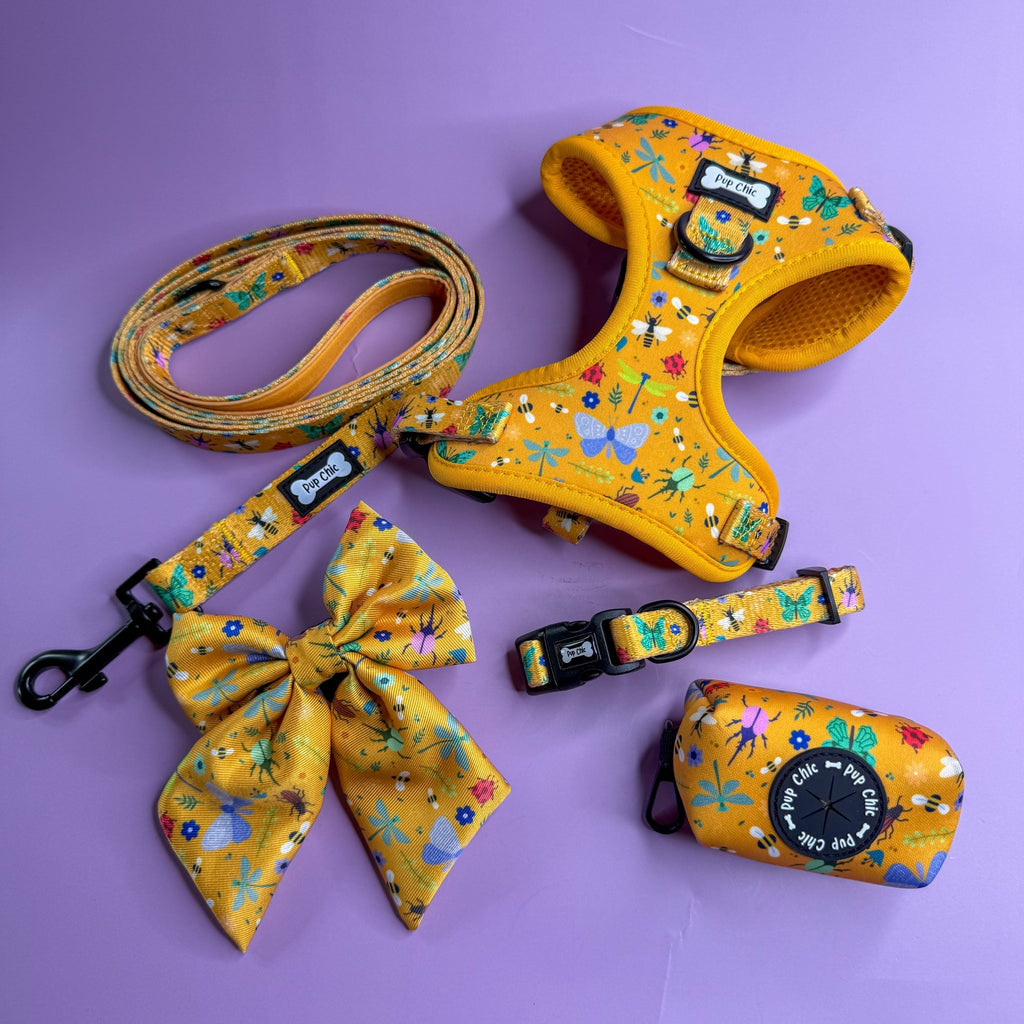 Summer Buzzin’ Step - In Adjustable Dog Harness - Pup Chic Boutique