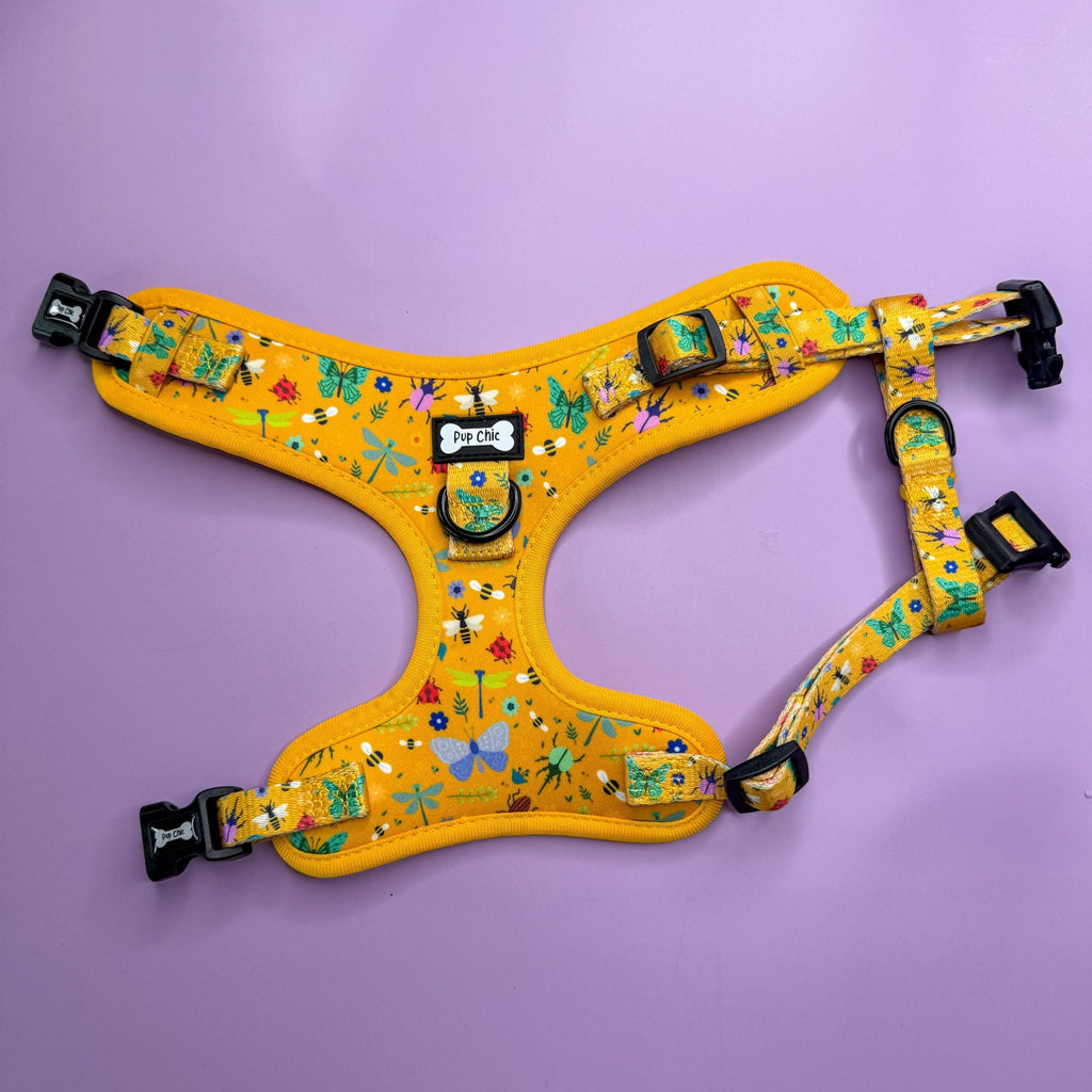 Summer Buzzin’ Step - In Adjustable Dog Harness - Pup Chic Boutique