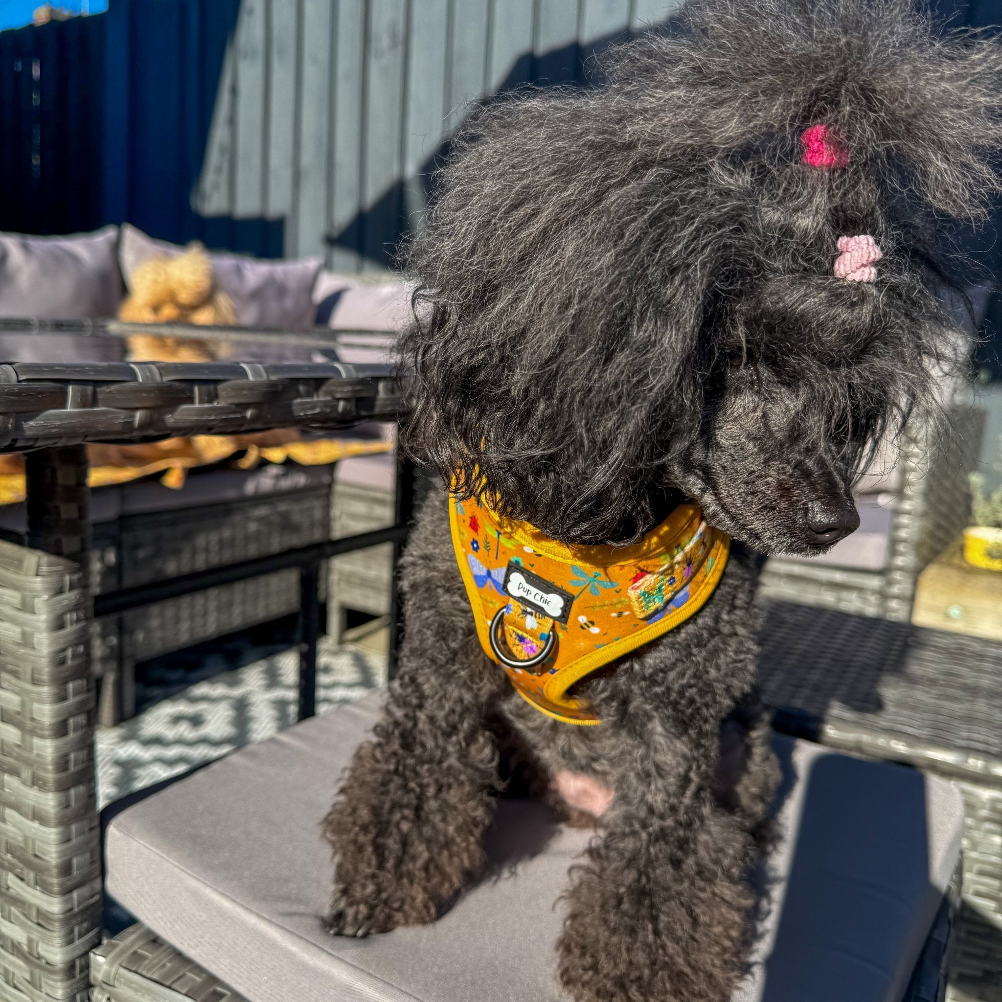 Summer Buzzin’ Step - In Adjustable Dog Harness - Pup Chic Boutique