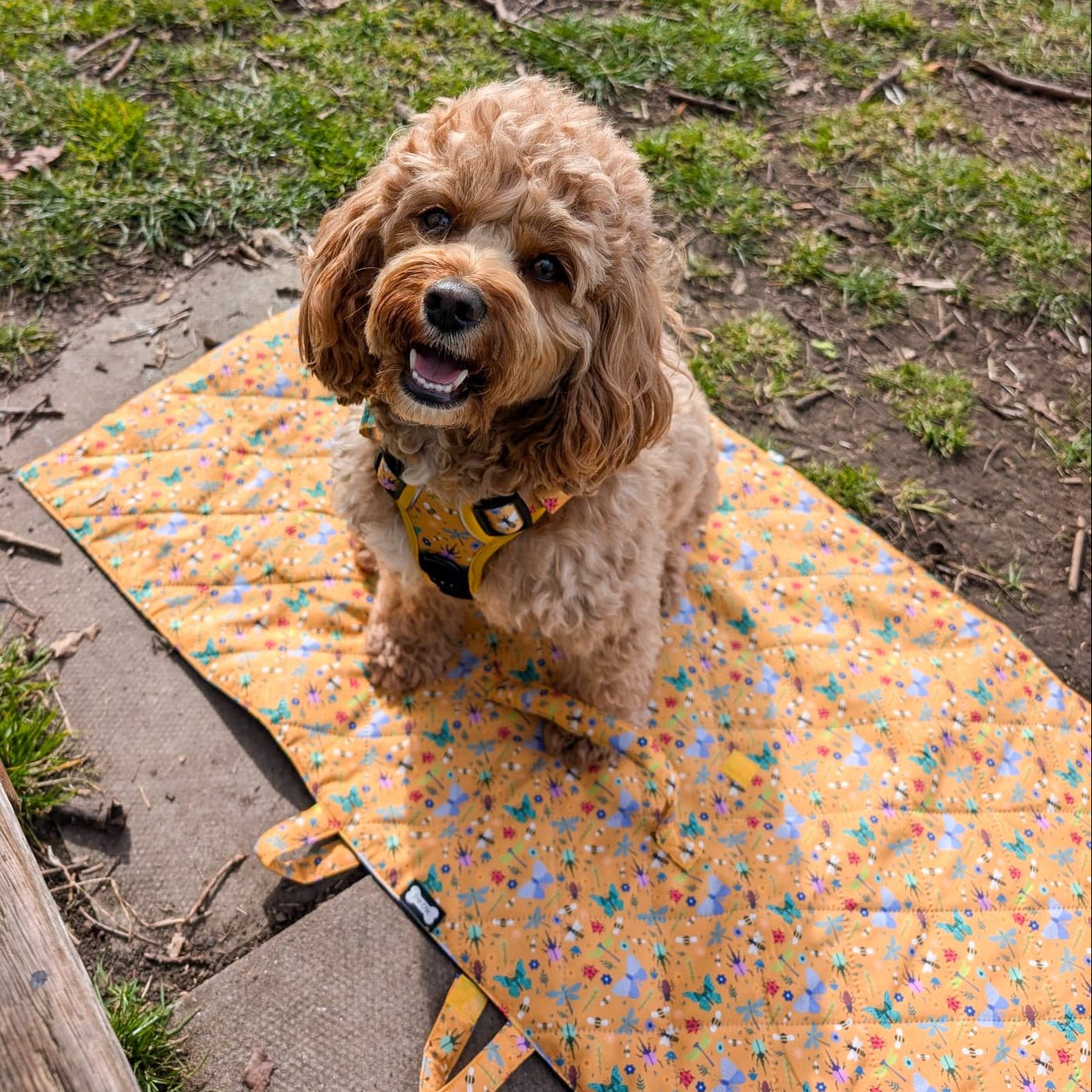 Woodland Wonderland Dog Settle Mat – Lightweight, Waterproof & Travel - Friendly - Pup Chic Boutique