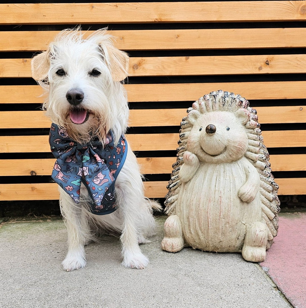Woodland Wonderland Sailor Bow Tie for Dog - Pup Chic Boutique