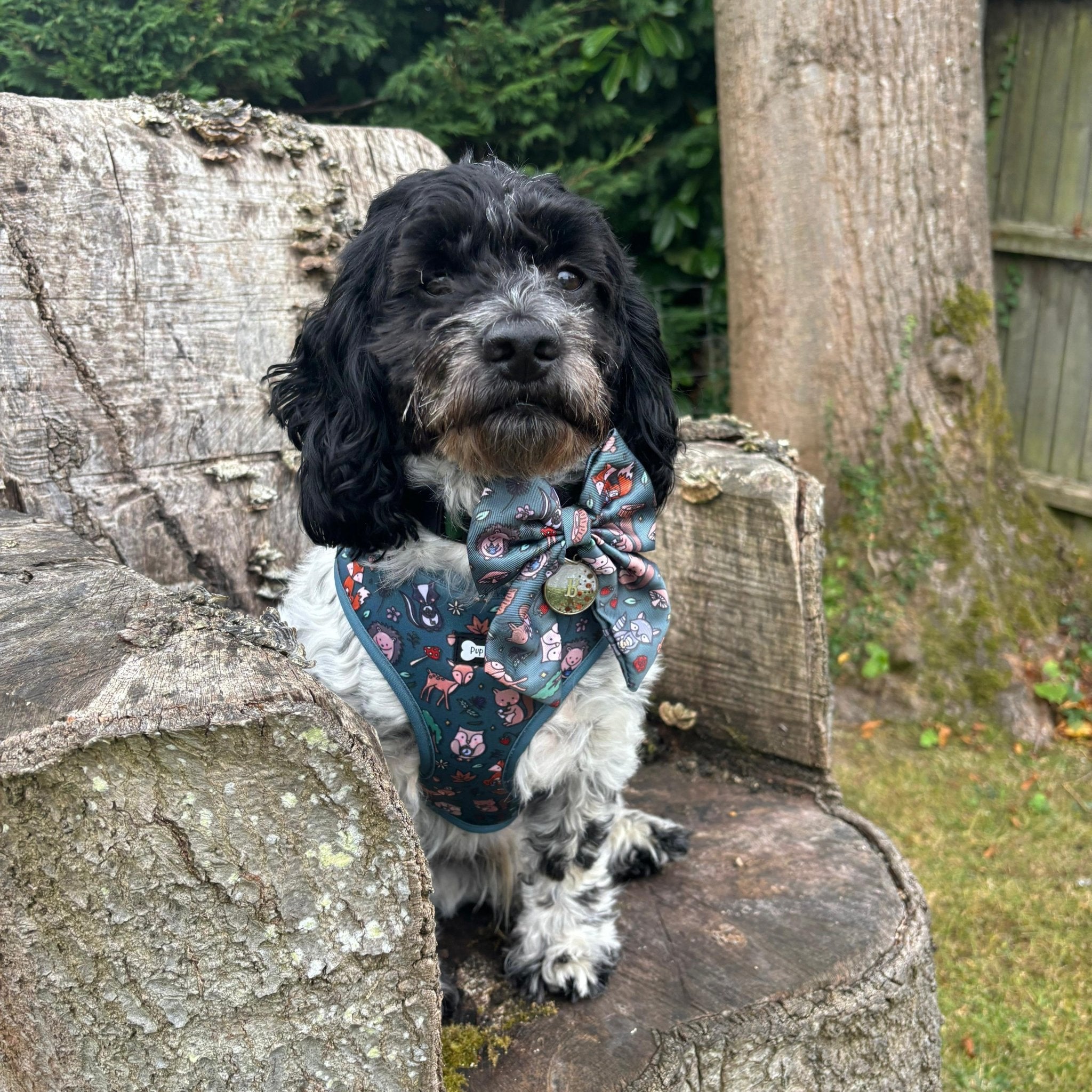 Woodland Wonderland Sailor Bow Tie for Dog - Pup Chic Boutique