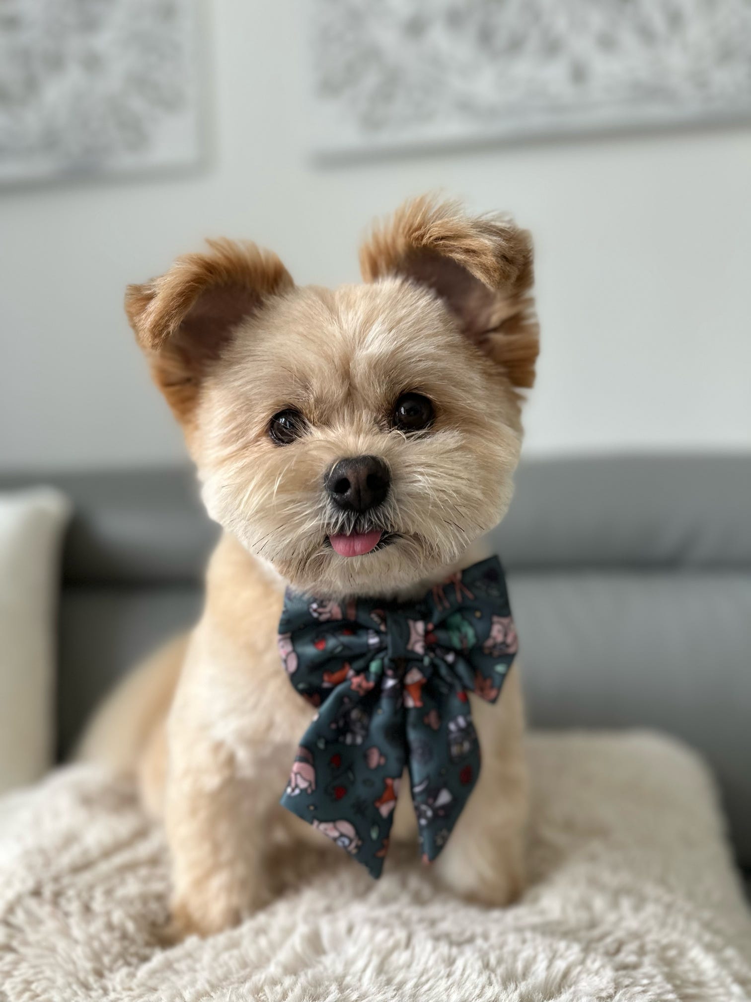 Woodland Wonderland Sailor Bow Tie for Dog - Pup Chic Boutique