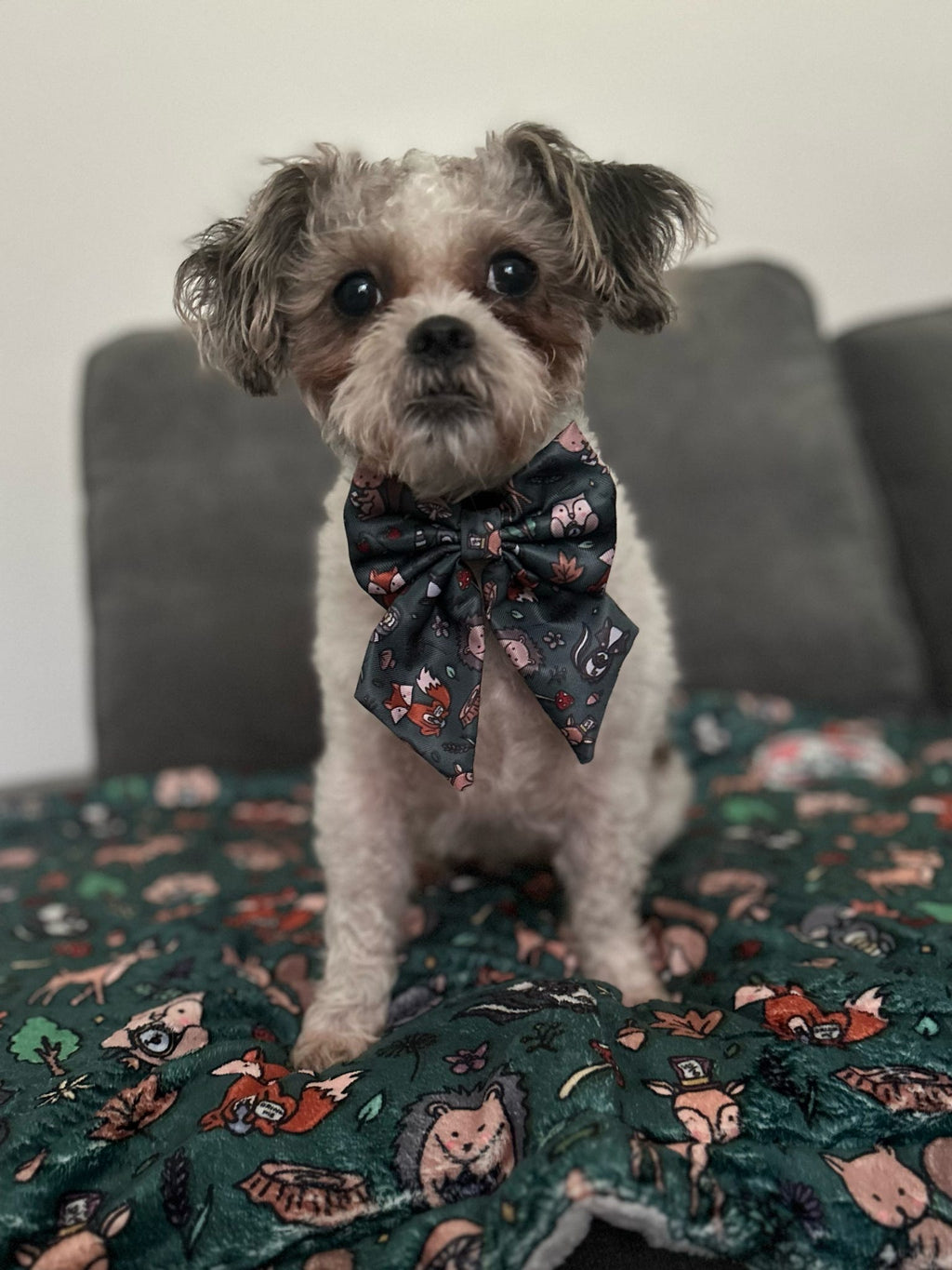 Woodland Wonderland Sailor Bow Tie for Dog - Pup Chic Boutique