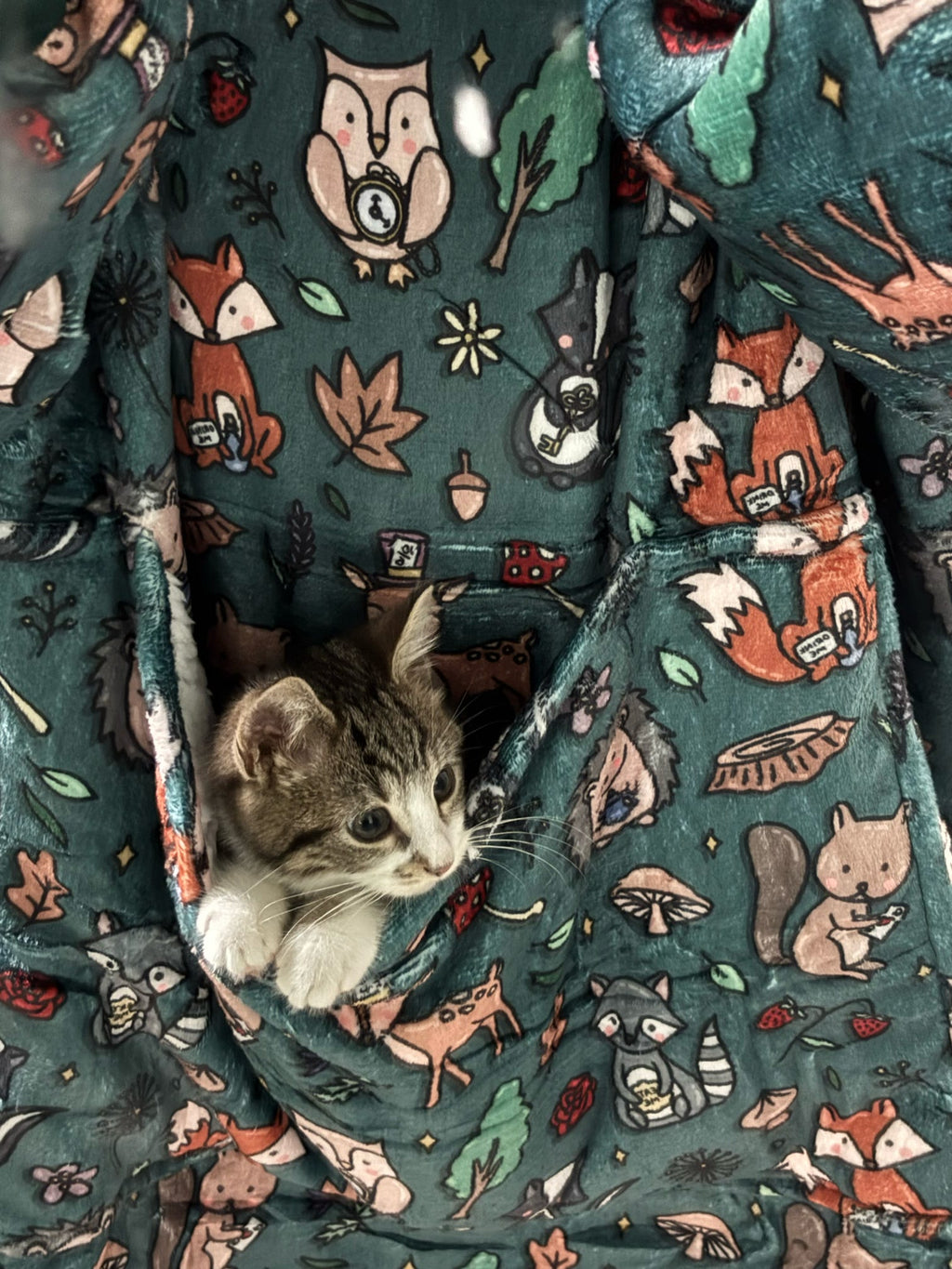 Woodland Wonderland Snuggle Pup Hoodie Wearable Blanket - Pup Chic Boutique