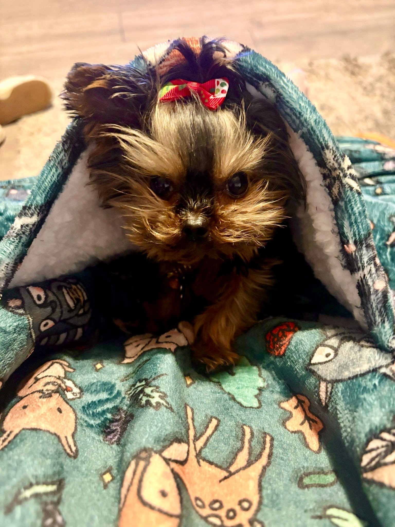 Woodland Wonderland Snuggle Pup Hoodie Wearable Blanket - Pup Chic Boutique