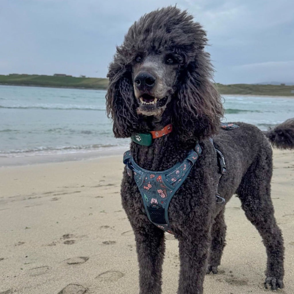 Woodland Wonderland Tactical Dog Harness - Pup Chic Boutique