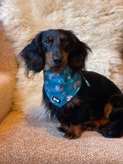 Lazy Sloth reversible bandana - Pup Chic Boutique