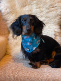 lazy sloth reversible bandana