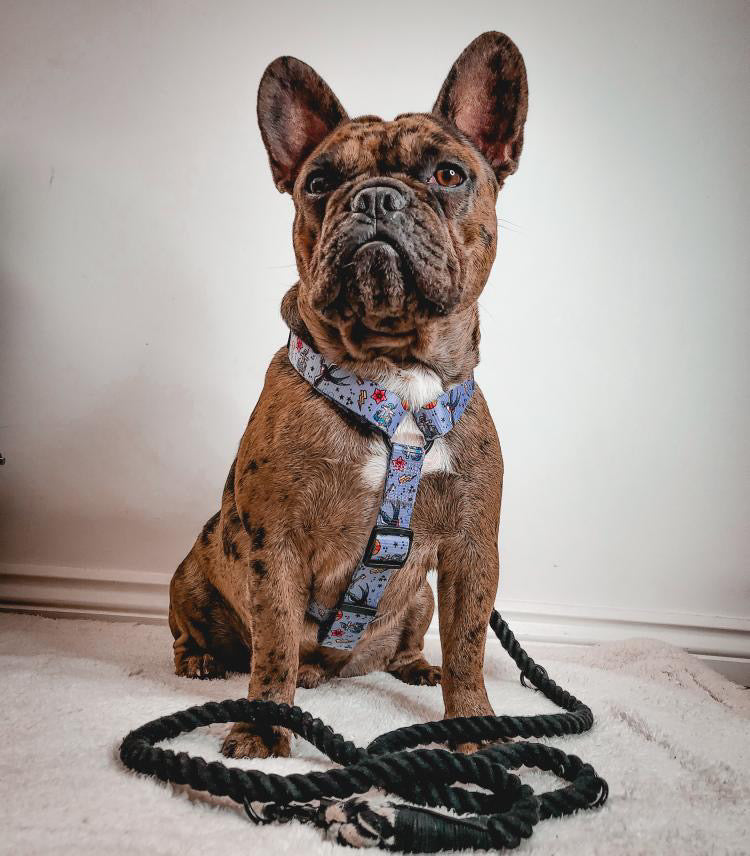 artful dogster large strap harness