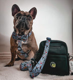 artful dogster pooch pouch - the dog walking bag