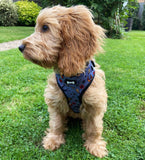 artful dogster adjustable harness - tattoo dog harness