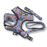 Artful Dogster Collar