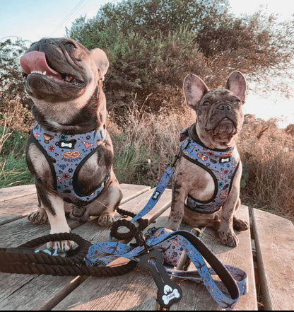 Artful Dogster Adjustable Dog Harness - Pup Chic Boutique