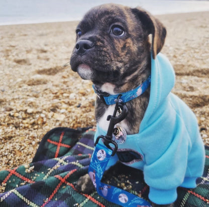 Bespoke dog hoodie - Aqua - Pup Chic Boutique