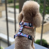 cutie fruity adjustable harness