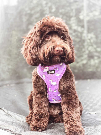 Daydreams and Unicorns Adjustable Dog Harness - Pup Chic Boutique