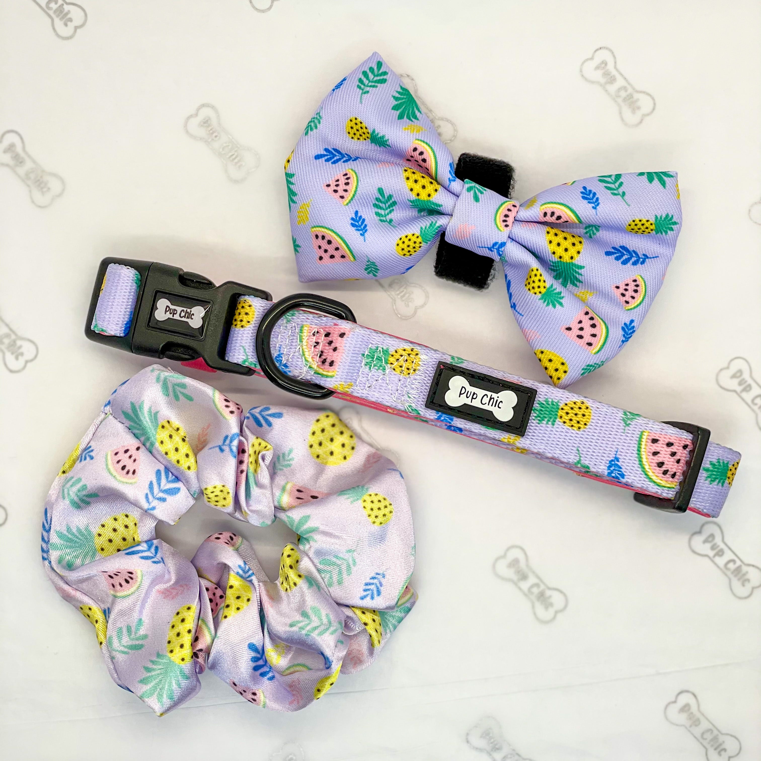 Matching dog and human best sale bow ties