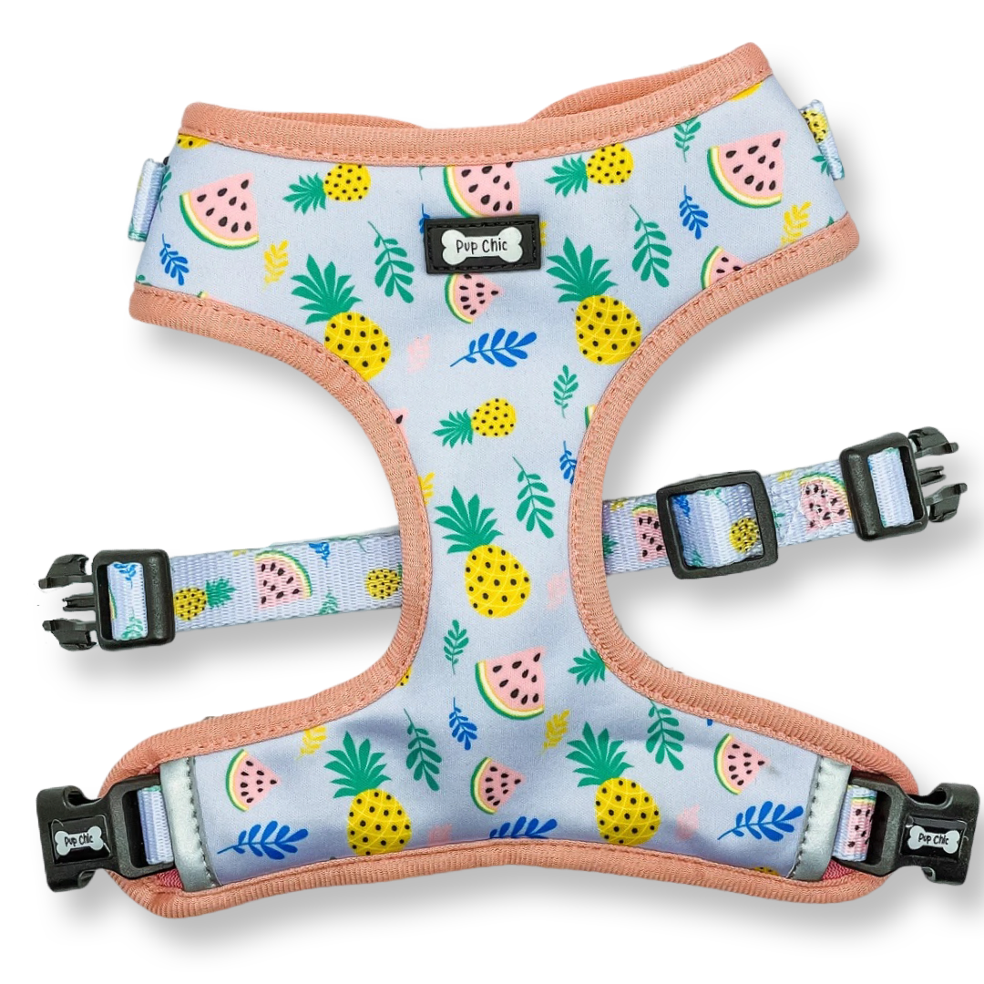 Cutie Fruity Adjustable Dog Harness