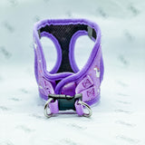 my first harness - daydreams and unicorns puppy harness
