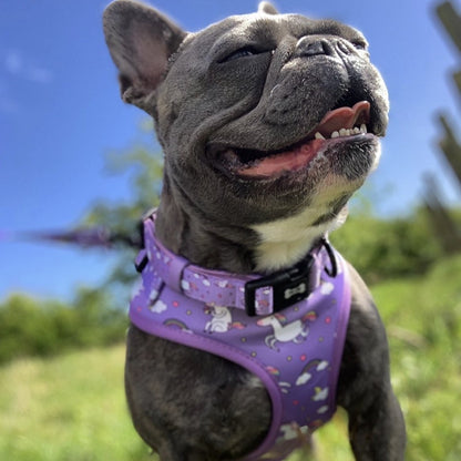 Daydreams and Unicorns Adjustable Dog Harness - Pup Chic Boutique