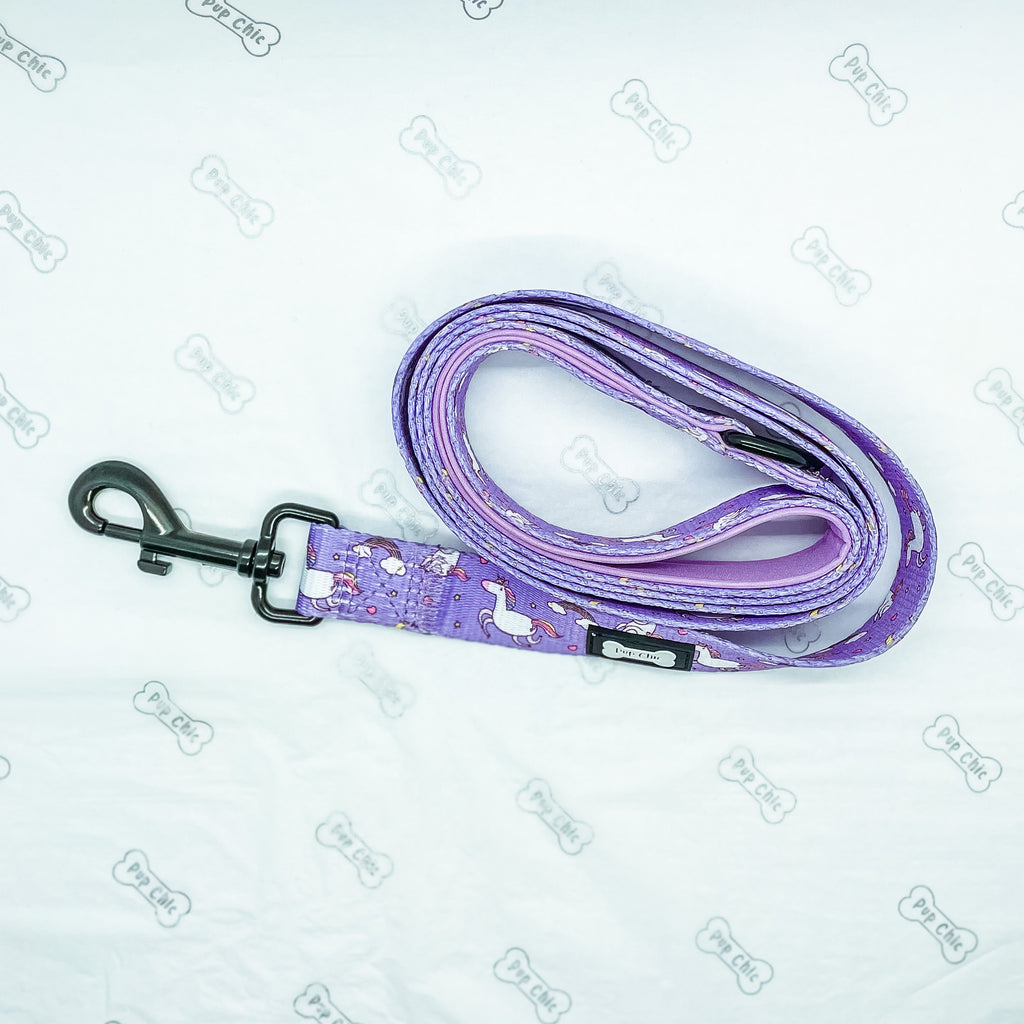 Daydreams and Unicorns 5ft Lead - Pup Chic Boutique