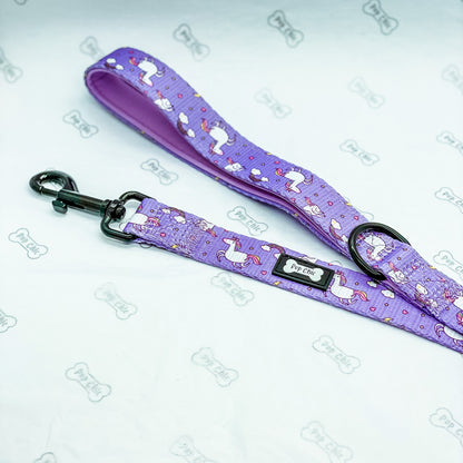 Daydreams and Unicorns 5ft Lead - Pup Chic Boutique