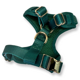 Emerald City teddy fleece adjustable harness - green fleece dog harness
