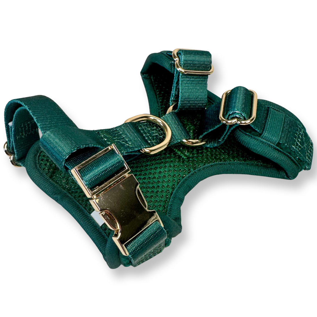 Dog online city harness