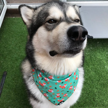 Inquisitive Fox Cooling Bandana - Pup Chic Boutique