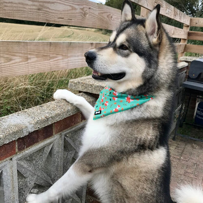 Inquisitive Fox Cooling Bandana - Pup Chic Boutique