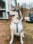 artful dogster large strap harness
