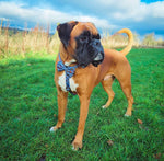 artful dogster large strap harness
