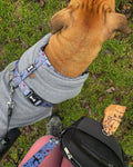 artful dogster pooch pouch - the dog walking bag