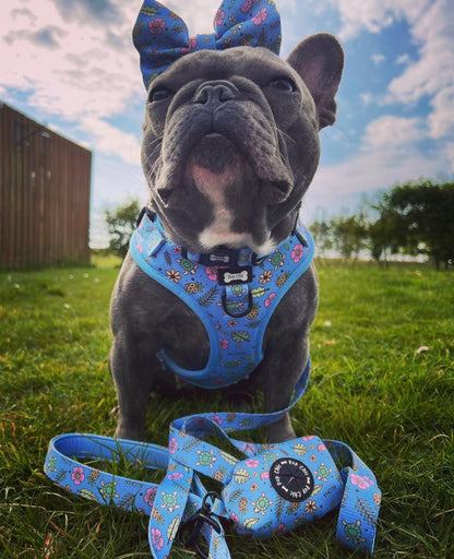 Island Breeze Step-in adjustable dog harness - Blue Hawaiian dog harness - Pup Chic Boutique