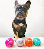 Chic ball - standard size tennis ball