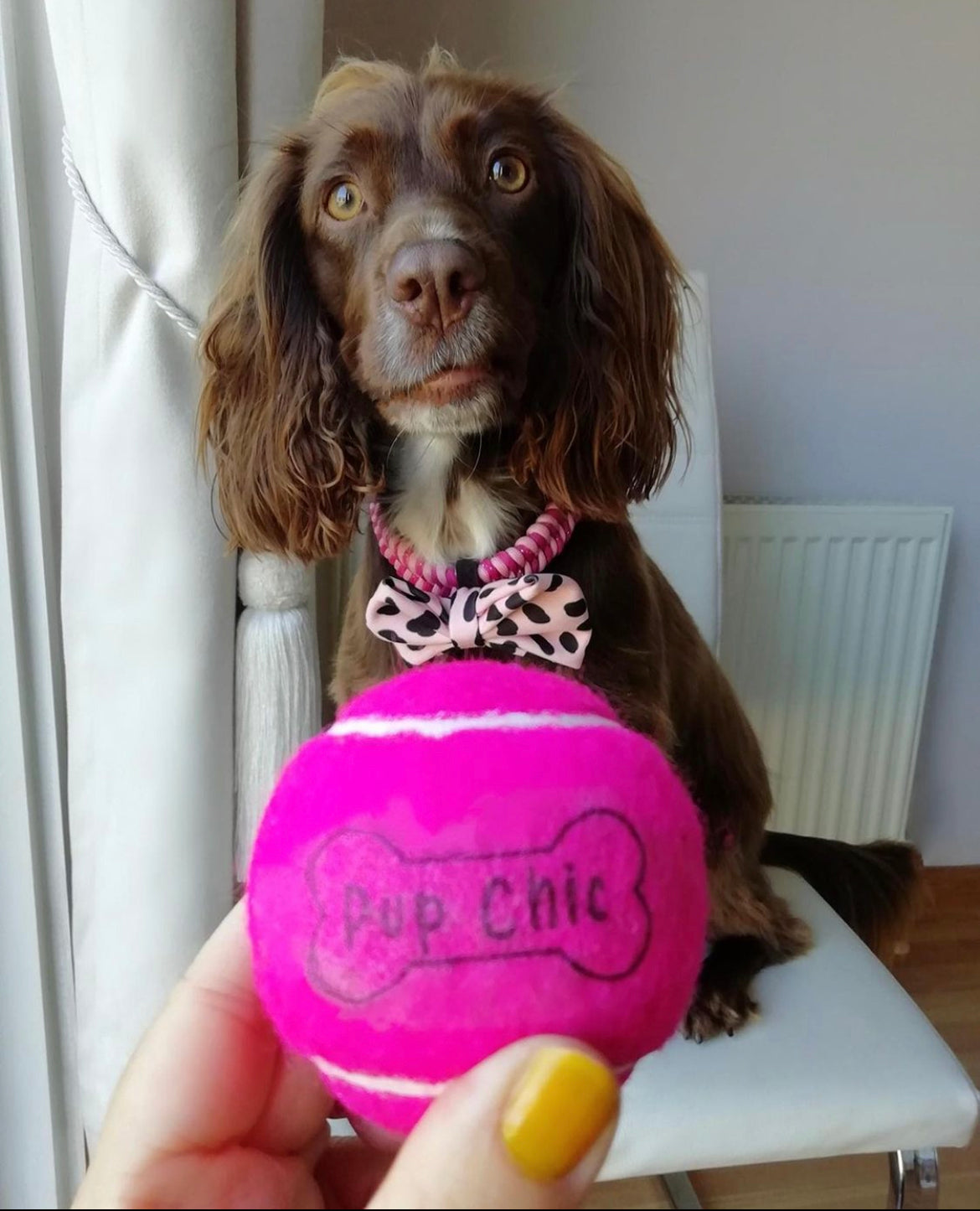 Chic ball - standard size tennis ball