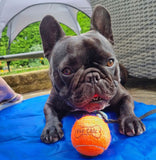 Chic ball - standard size tennis ball