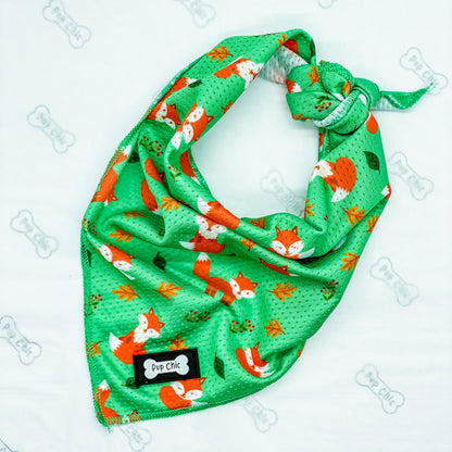 Inquisitive Fox Cooling Bandana - Pup Chic Boutique