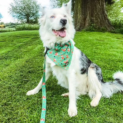 Inquisitive Fox Cooling Bandana - Pup Chic Boutique