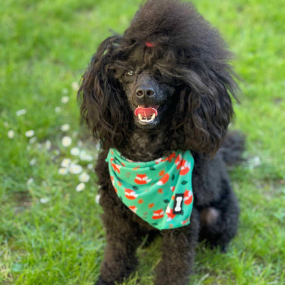 Inquisitive Fox Cooling Bandana - Pup Chic Boutique