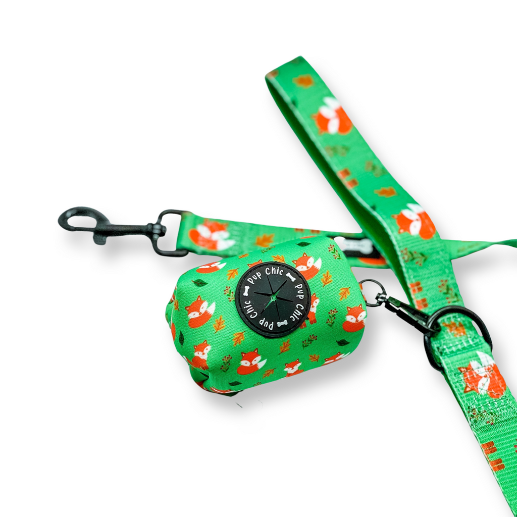 Inquisitive Fox 5ft Dog Lead - Pup Chic Boutique