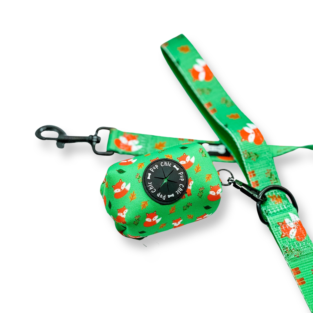 Inquisitive Fox 5ft Dog Lead - Pup Chic Boutique