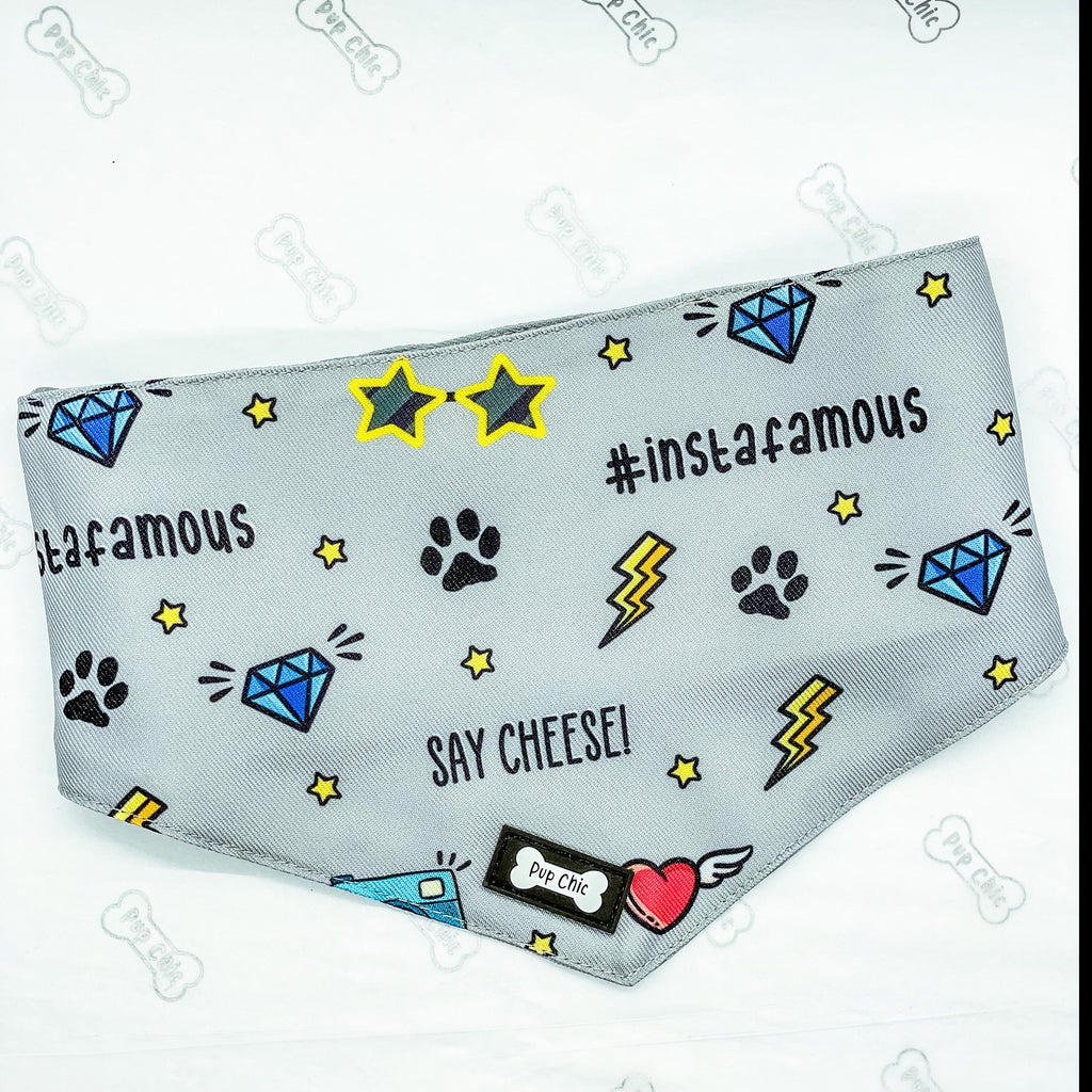 Instafamous reversible bandana - Pup Chic Boutique