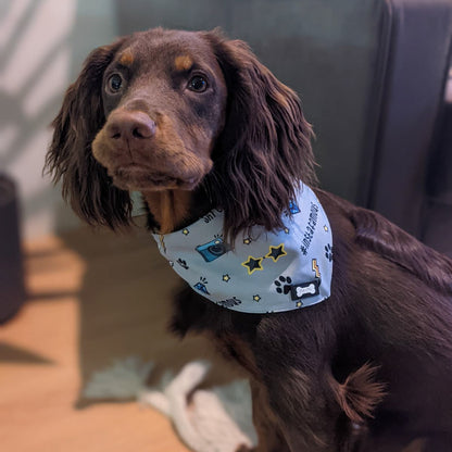 Instafamous reversible bandana - Pup Chic Boutique