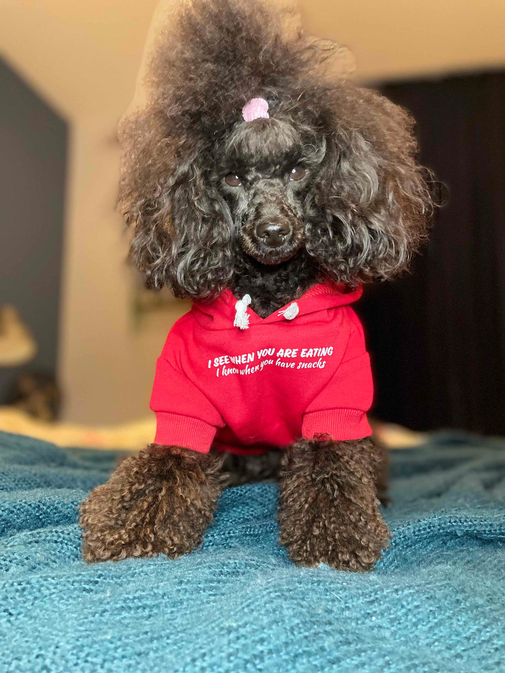 Bespoke dog hoodie - Red - Pup Chic Boutique