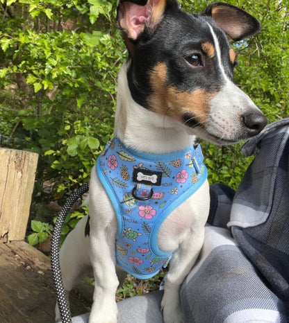 Island Breeze Step-in adjustable dog harness - Blue Hawaiian dog harness - Pup Chic Boutique